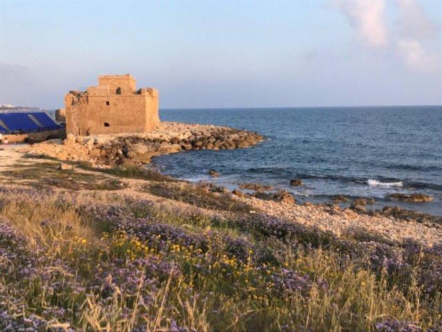 Ikaria Village Maisonette 10 Hlóraka Kültér fotó